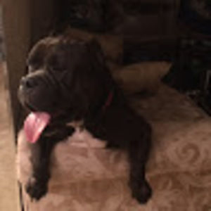 Meet your Posher, Me